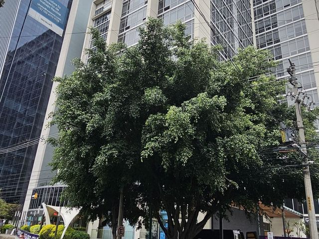 place photo 25