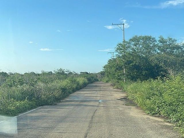place photo 18