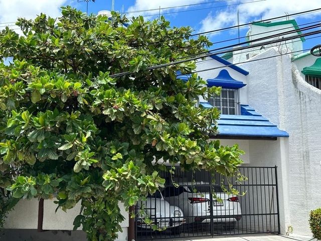 place photo 23