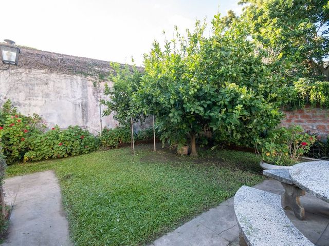 place photo 65