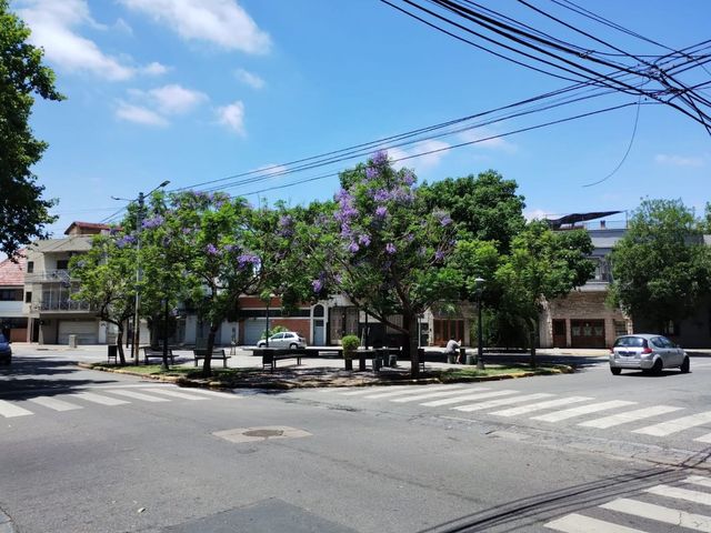 place photo 28