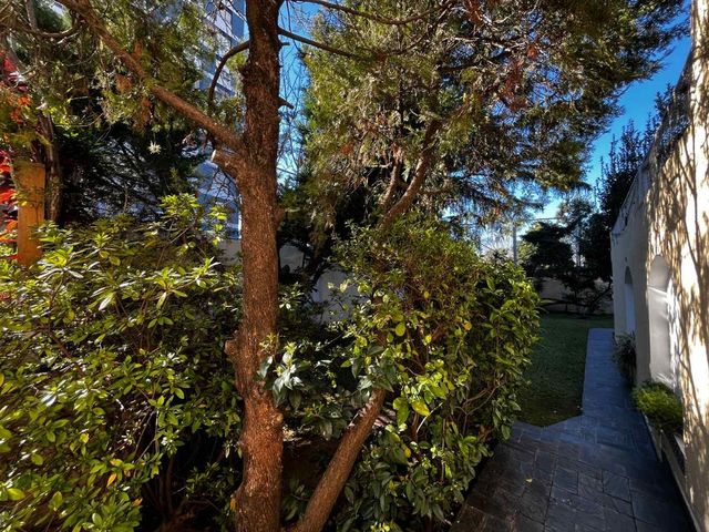 place photo 74