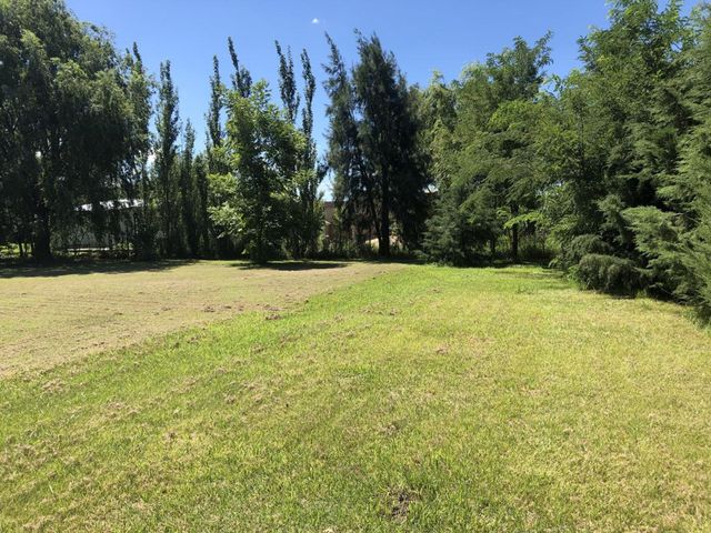 place photo 20