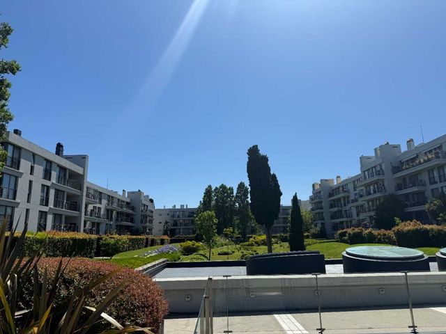 place photo 44