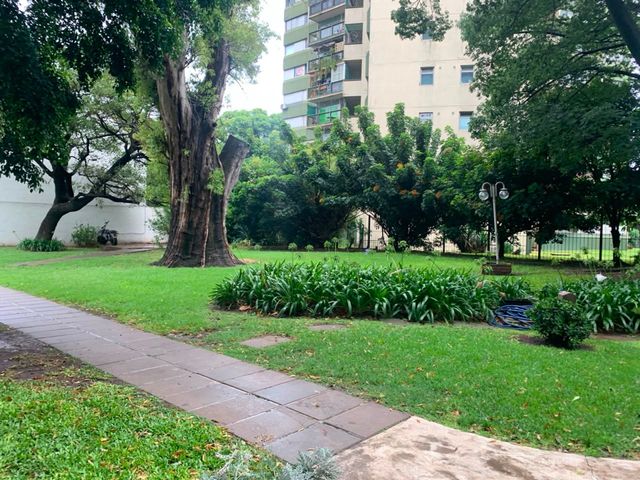 place photo 39