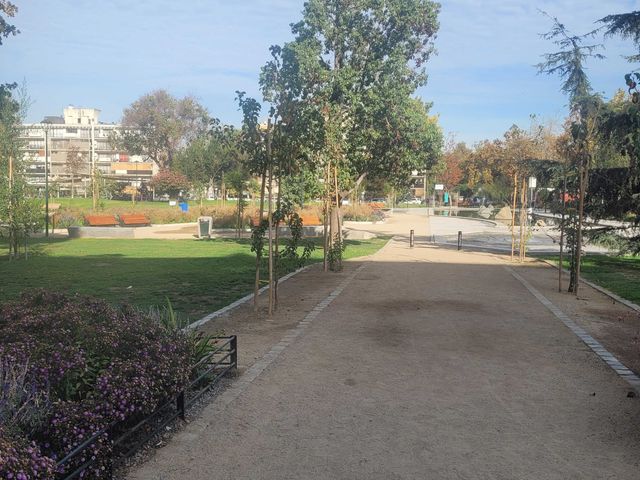place photo 24