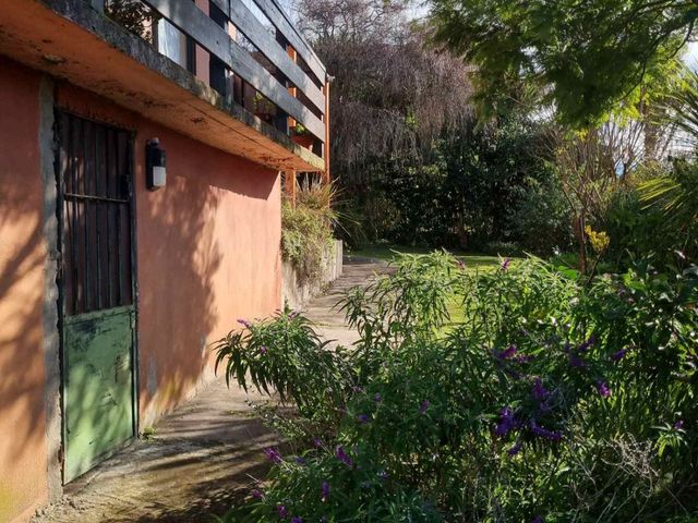 place photo 46