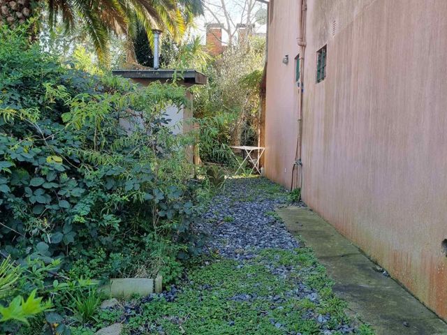 place photo 43