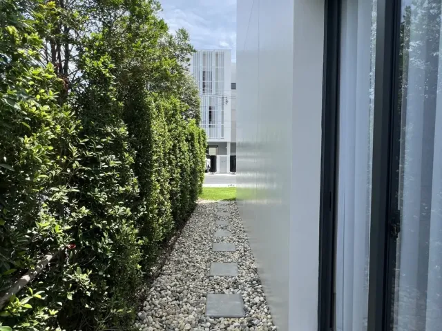 place photo 40