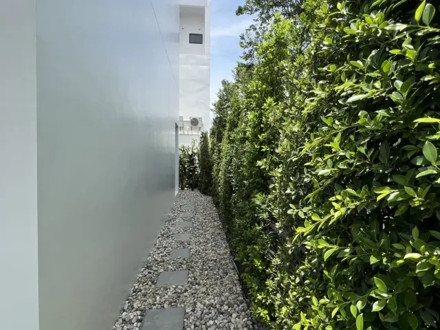 place photo 38