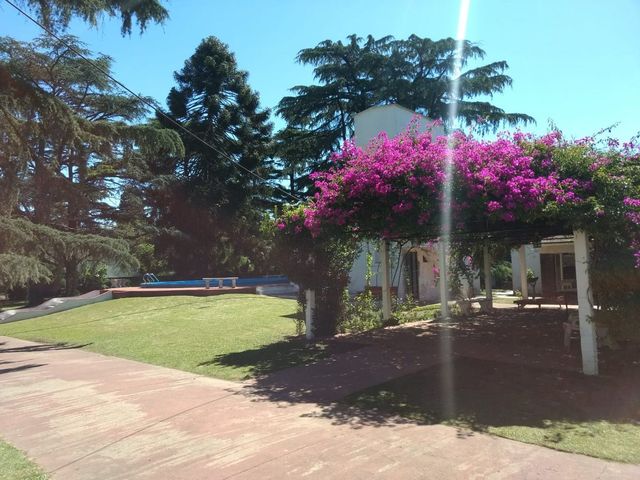 place photo 27