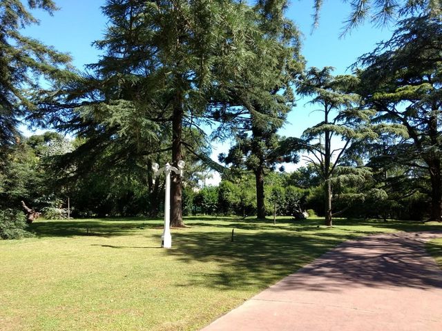 place photo 31