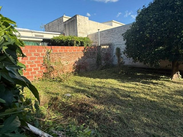 place photo 20
