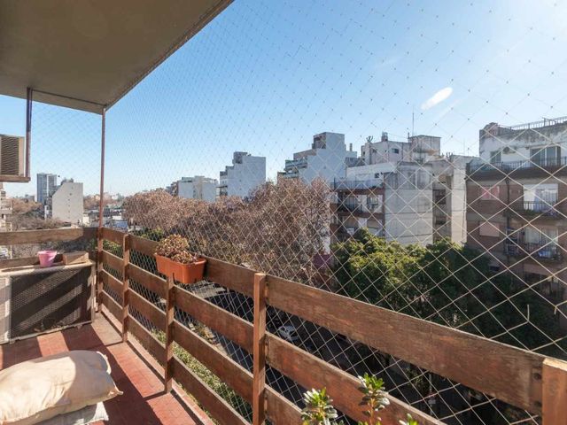 place photo 19