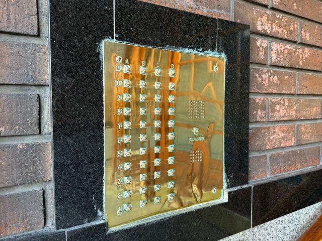 place photo 24