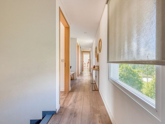 place photo 62