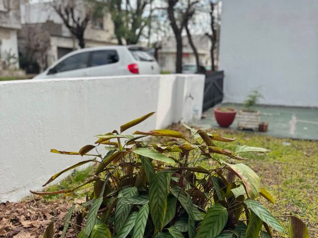 place photo 27