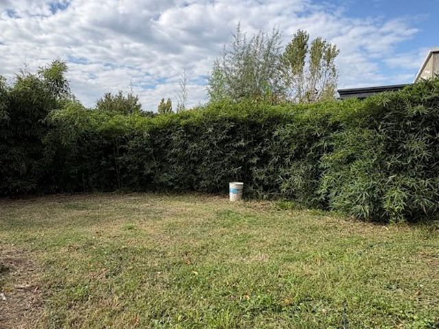 place photo 38
