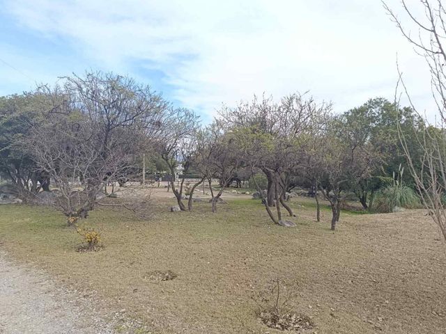 place photo 38
