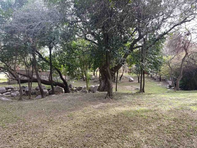 place photo 37
