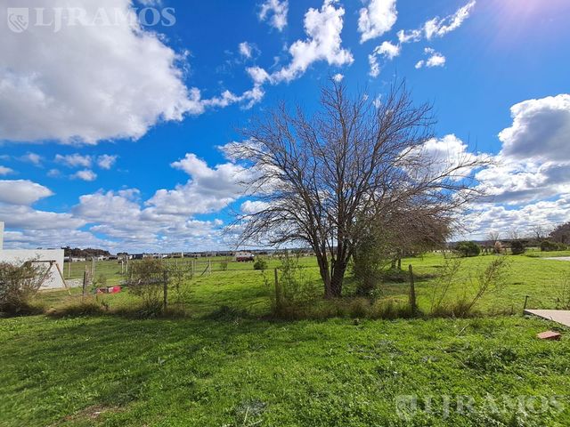 place photo 22