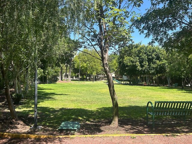 place photo 22