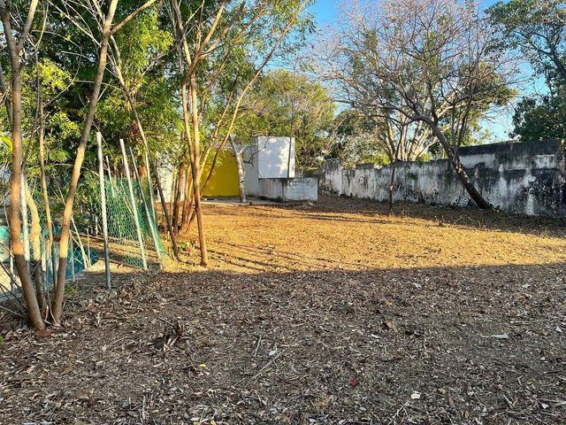 place photo 10