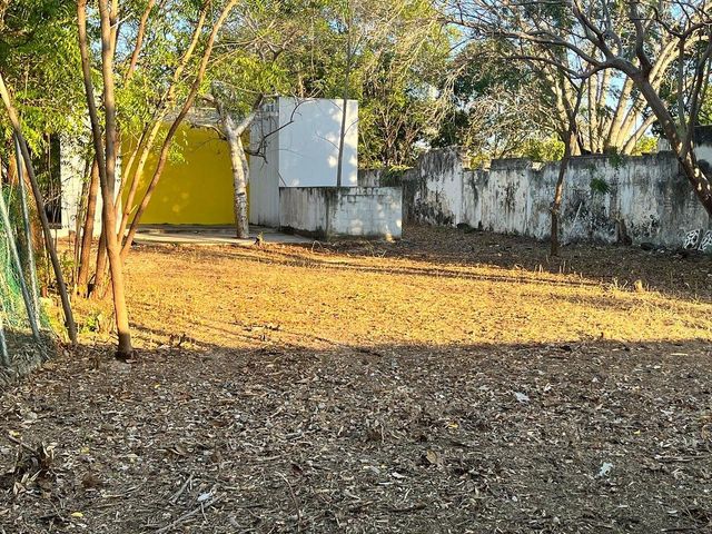 place photo 27
