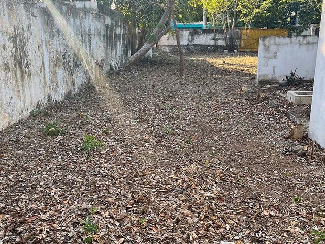 place photo 31