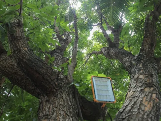 place photo 20
