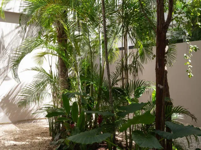 place photo 39