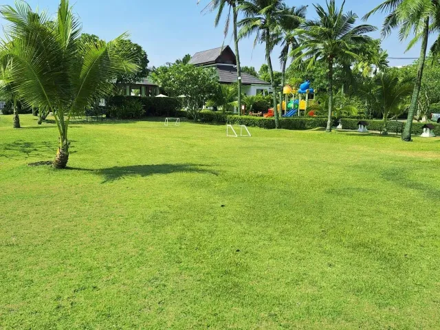 place photo 61