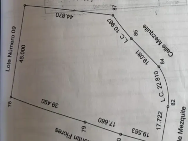 place photo 22