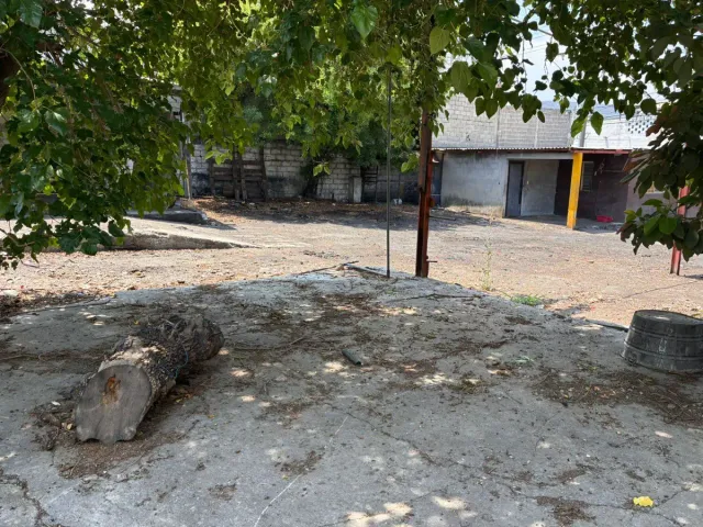 place photo 17