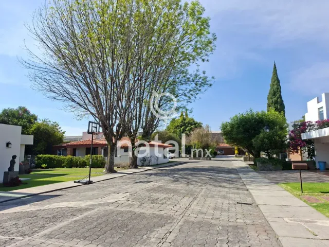 place photo 32