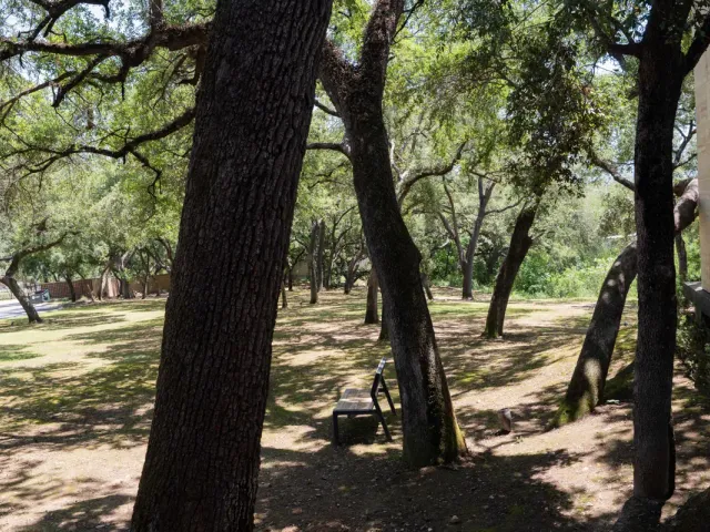 place photo 67
