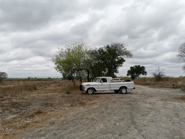 place photo 14