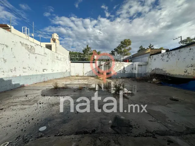 place photo 8