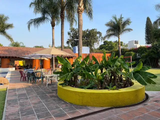 place photo 16