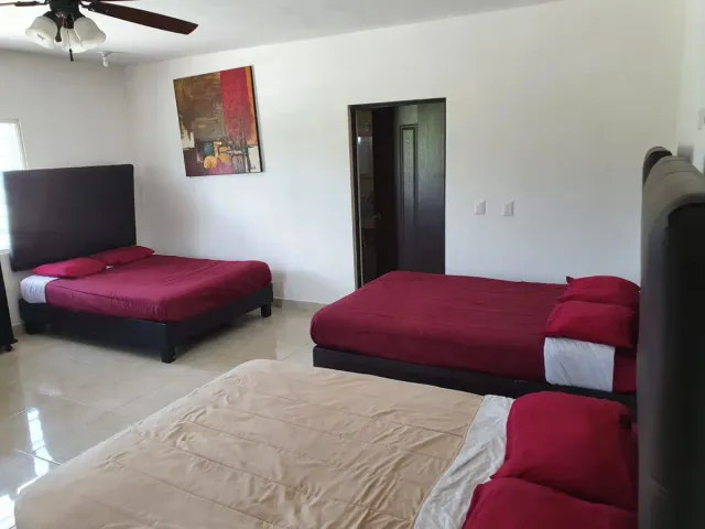 place photo 20