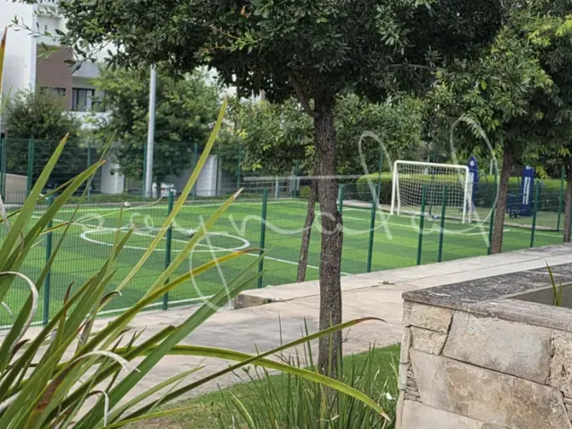 place photo 44
