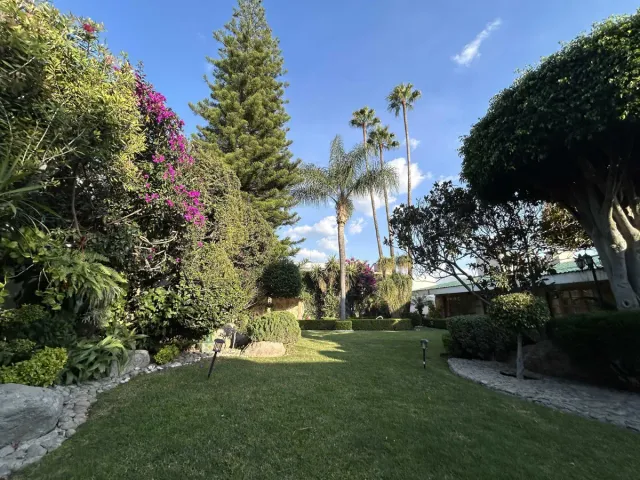 place photo 25