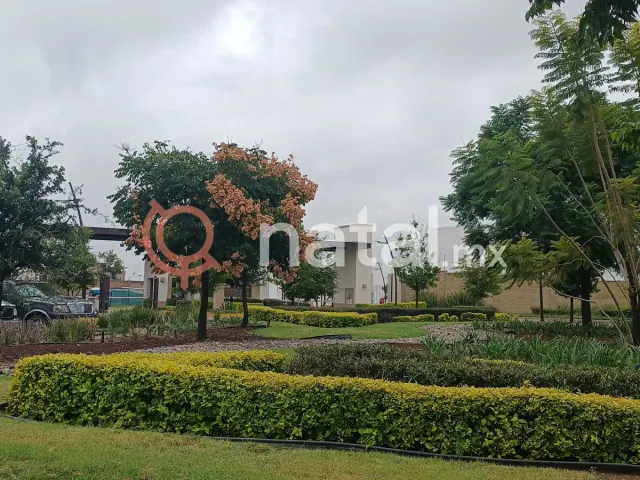 place photo 18