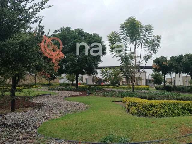 place photo 19