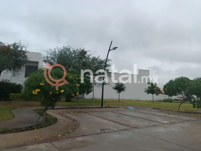 place photo 16