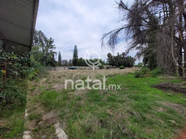 place photo 23