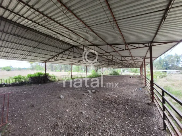 place photo 20