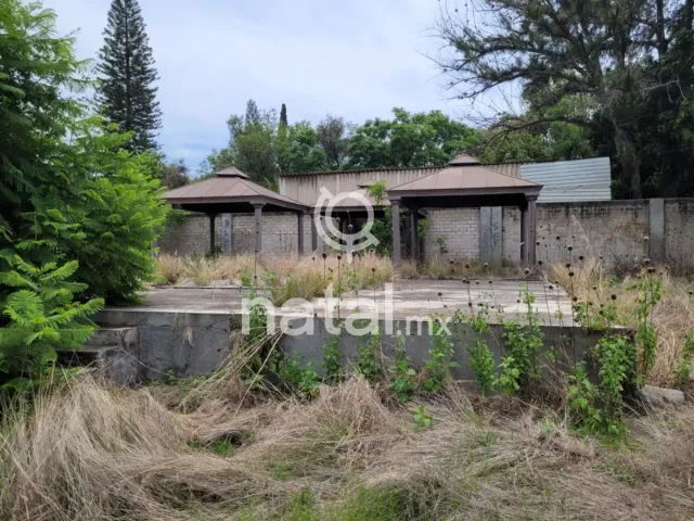 place photo 29