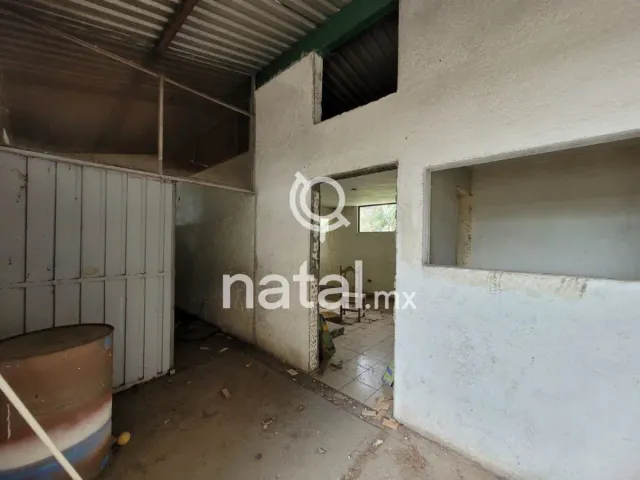 place photo 12