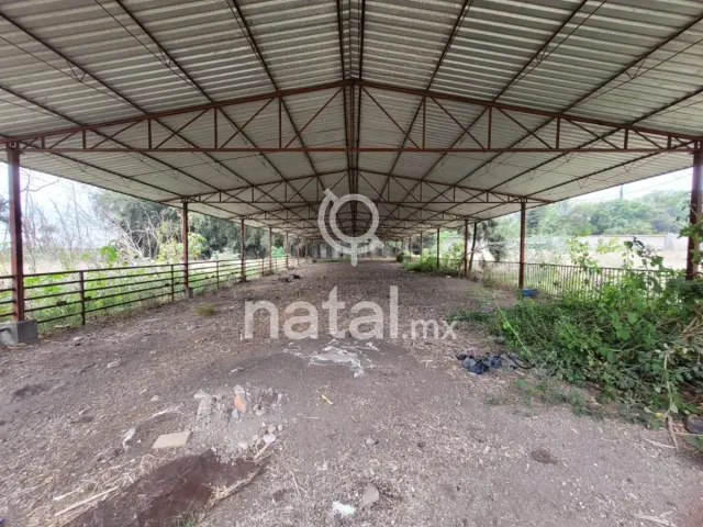 place photo 19